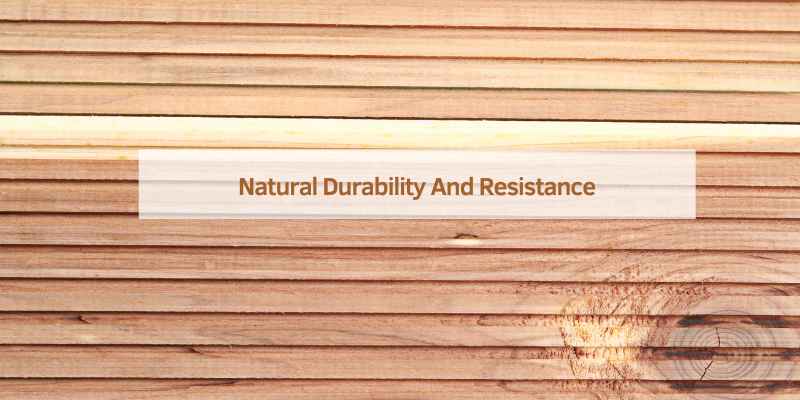 Natural Durability And Resistance