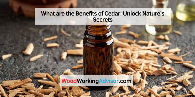 What are the Benefits of Cedar