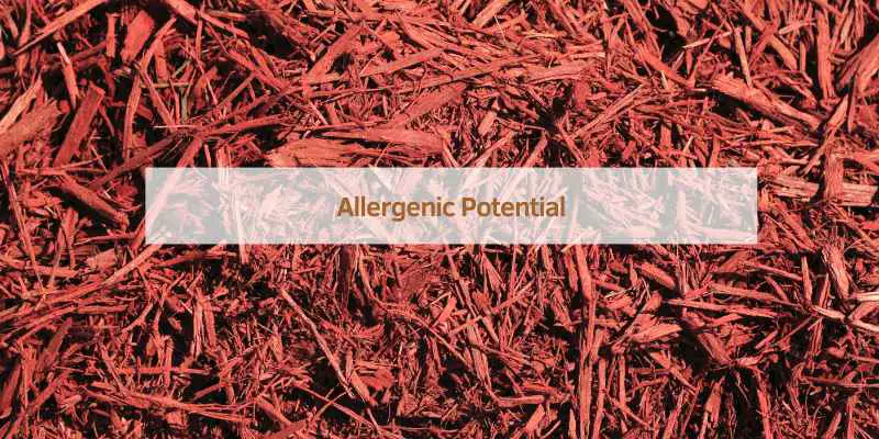 Allergenic Potential