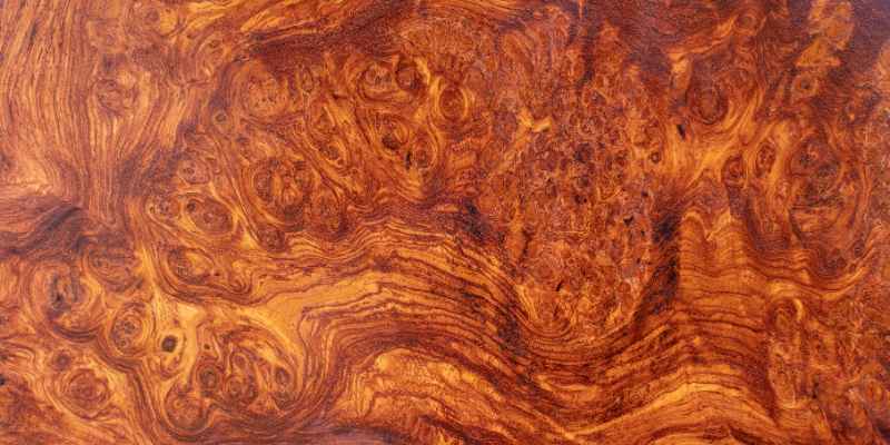 What is Burl Wood How Much is It Worth