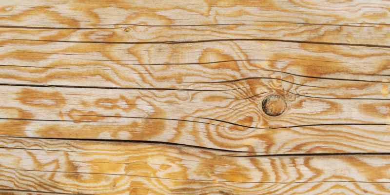 What is Larch Wood Used for