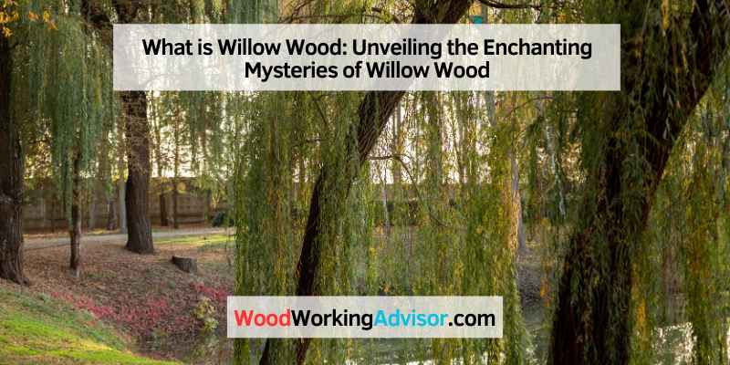 What is Willow Wood