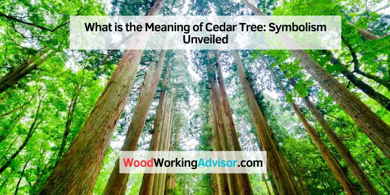 What is the Meaning of Cedar Tree