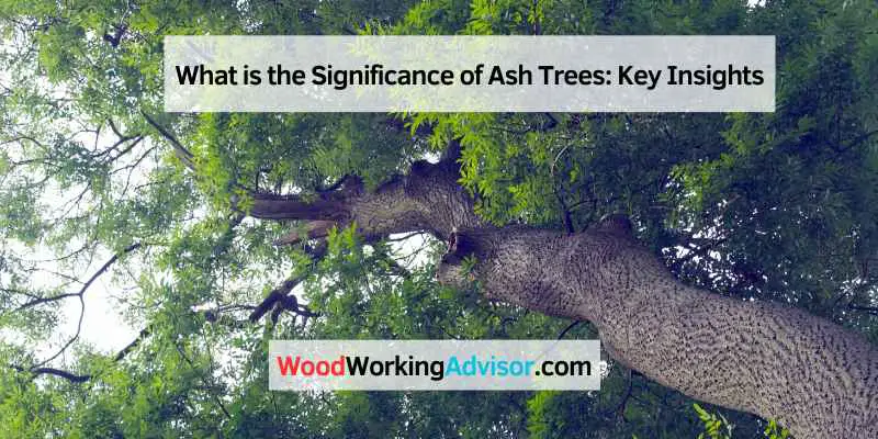 What is the Significance of Ash Trees