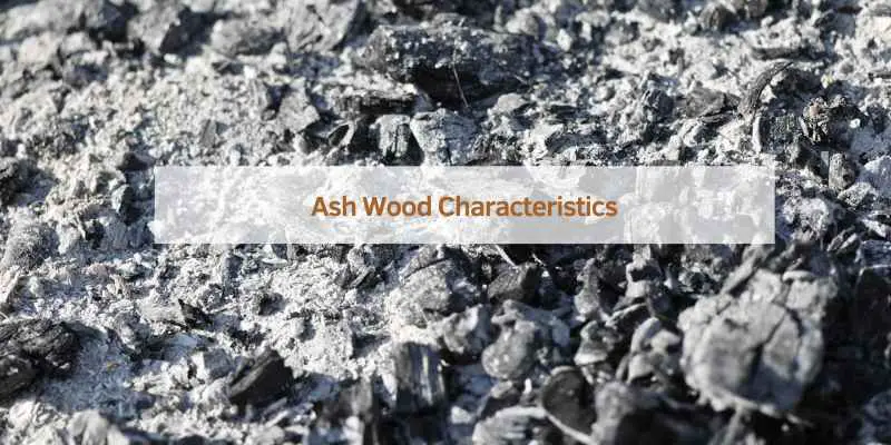 Ash Wood Characteristics