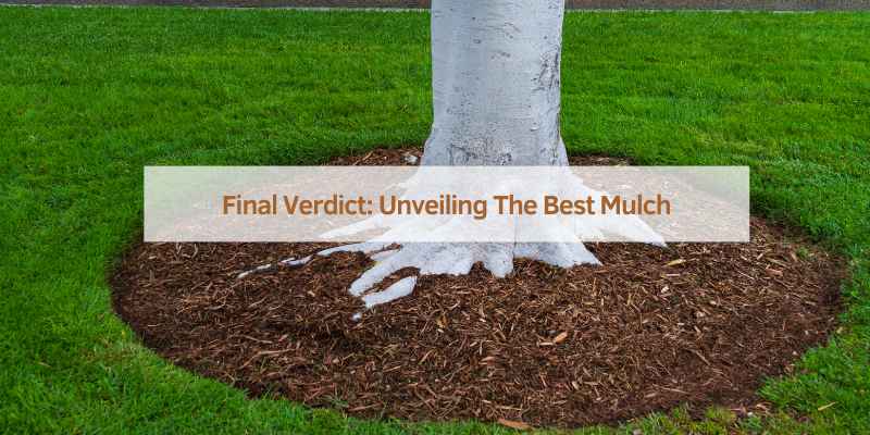 Final Verdict: Unveiling The Best Mulch