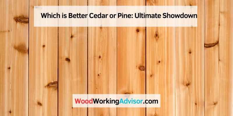 Which is Better Cedar or Pine