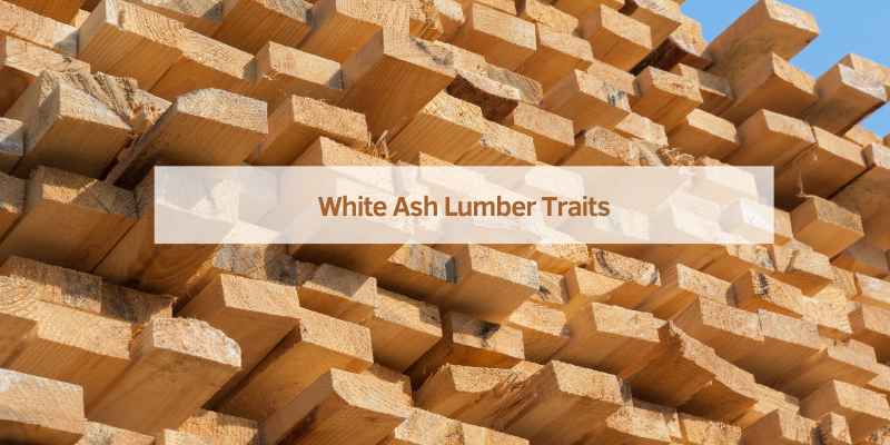 White Ash Lumber Traits