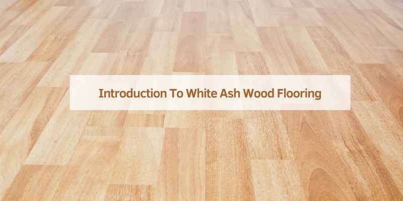 Introduction To White Ash Wood Flooring