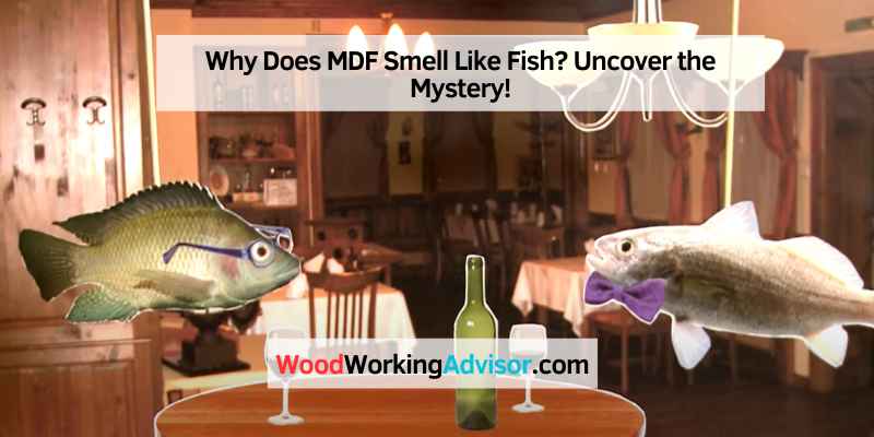 Why Does MDF Smell Like Fish