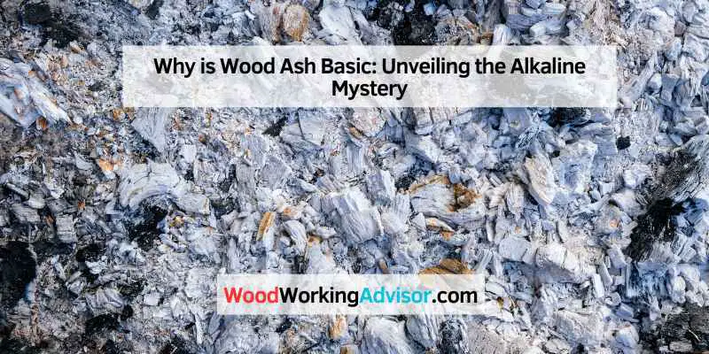 Why is Wood Ash Basic