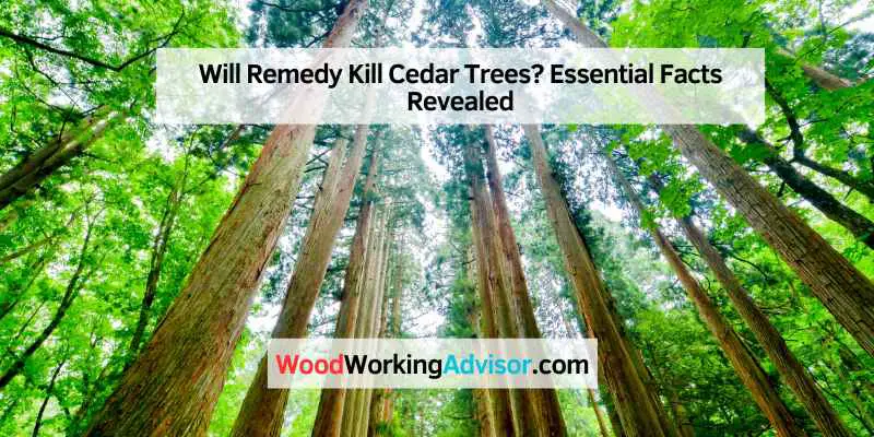 Will Remedy Kill Cedar Trees