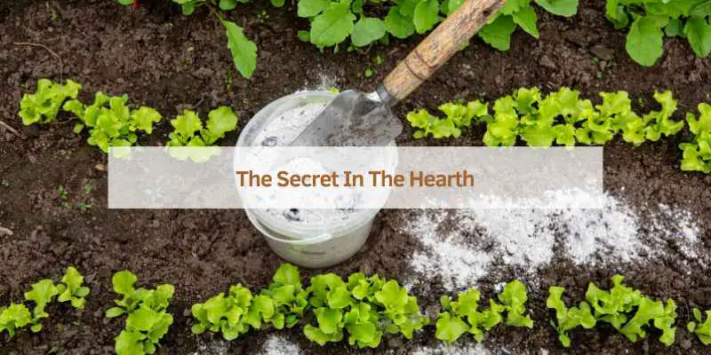 The Secret In The Hearth