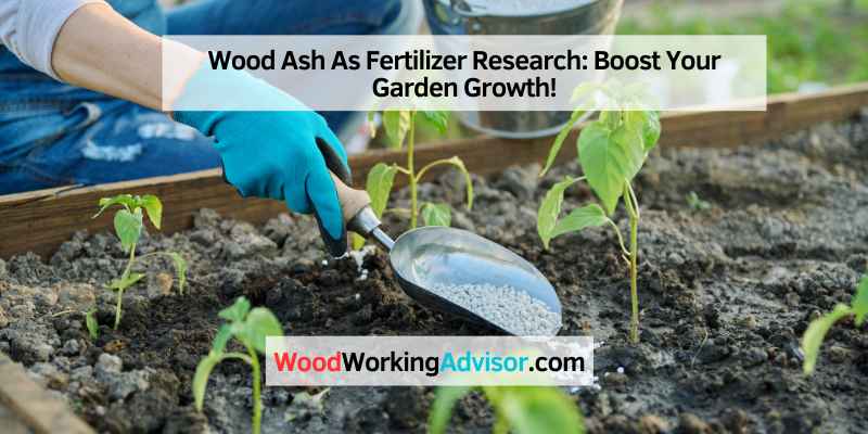 Wood Ash As Fertilizer Research