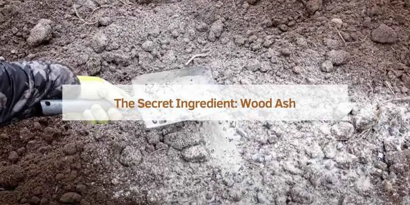 The Secret Ingredient: Wood Ash