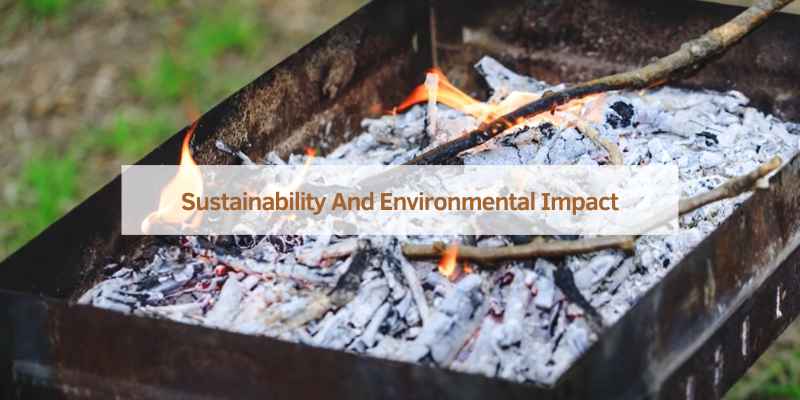 Sustainability And Environmental Impact