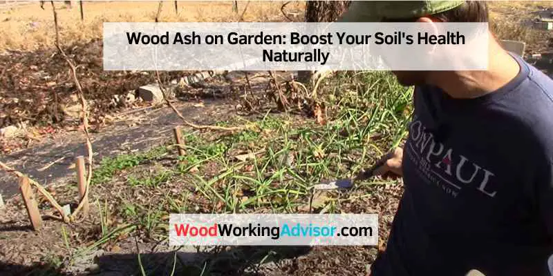 Wood Ash on Garden