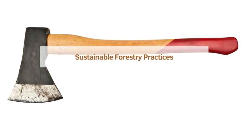 Sustainable Forestry Practices