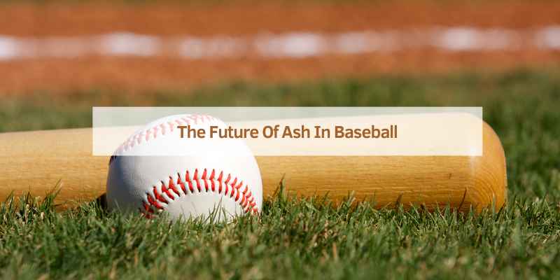 The Future Of Ash In Baseball