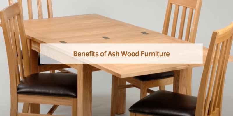 Benefits of Ash Wood Furniture
