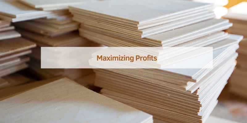 maximizing profits
