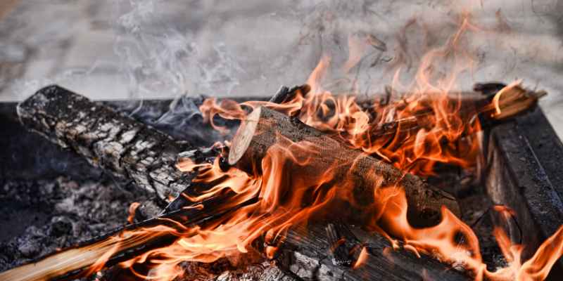 Can Ash Wood Be Used for Smoking Meat