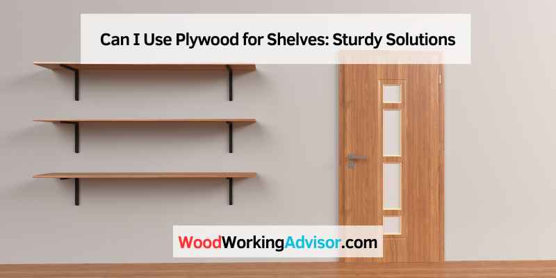 Can I Use Plywood for Shelves