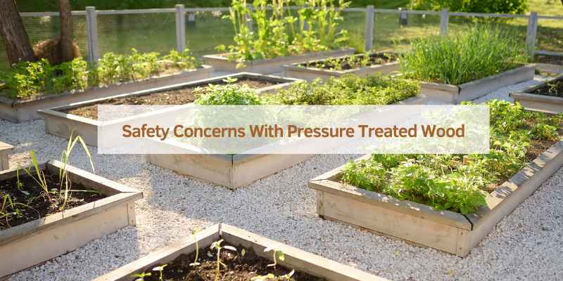 Safety Concerns With Pressure Treated Wood