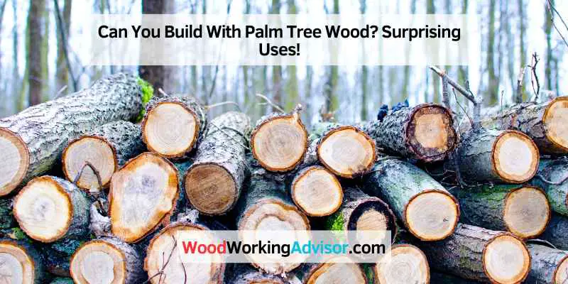 Can You Build With Palm Tree Wood
