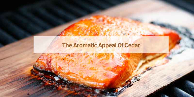 The Aromatic Appeal Of Cedar