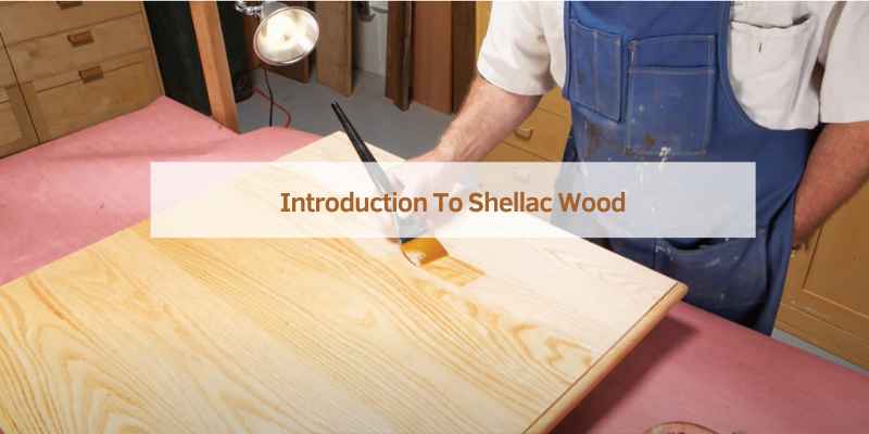 Introduction To Shellac Wood