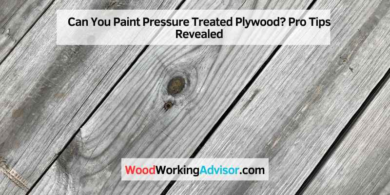 Can You Paint Pressure Treated Plywood