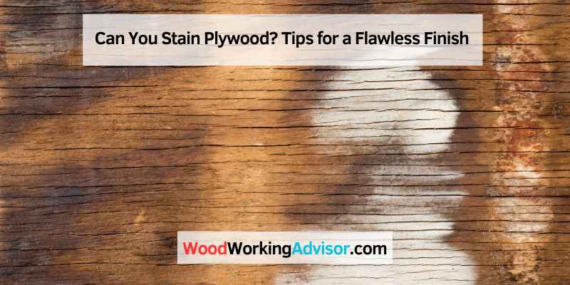 Can You Stain Plywood