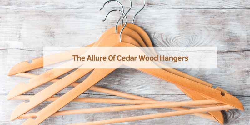The Allure Of Cedar Wood Hangers