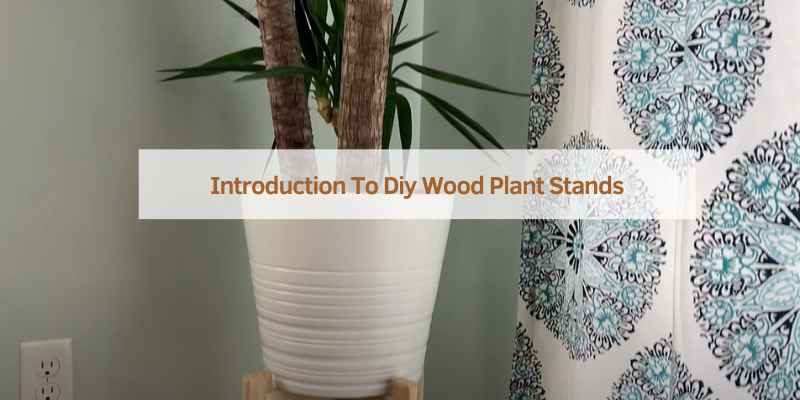 Introduction To DIY Wood Plant Stands