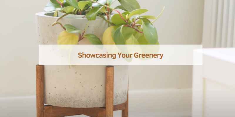Showcasing Your Greenery
