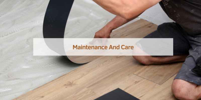 Maintenance And Care