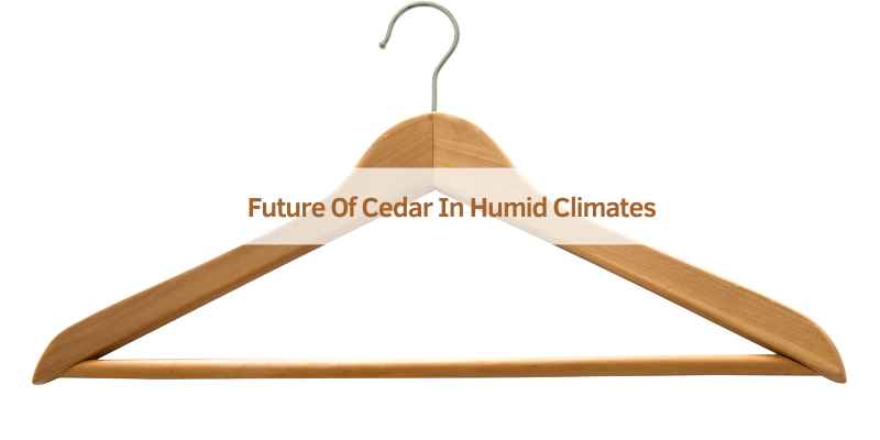 Future Of Cedar In Humid Climates