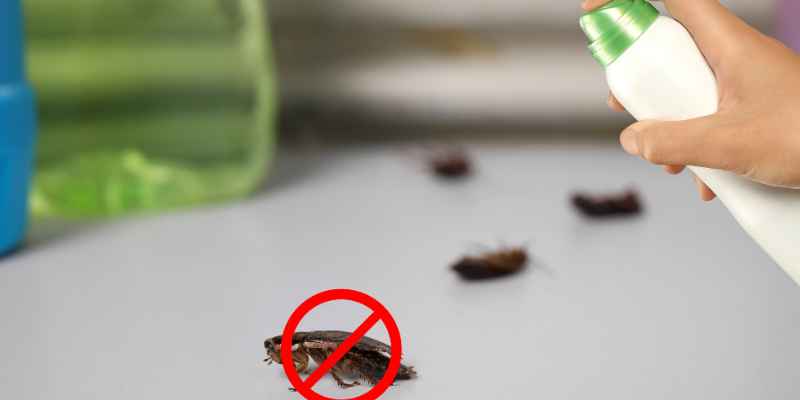 Does Cedar Repel Bed Bugs