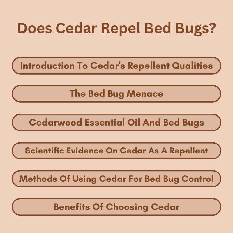 Does Cedar Repel Bed Bugs