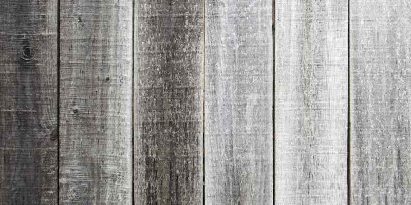 Does Fir Wood Rot? Debunking Myths & Facts