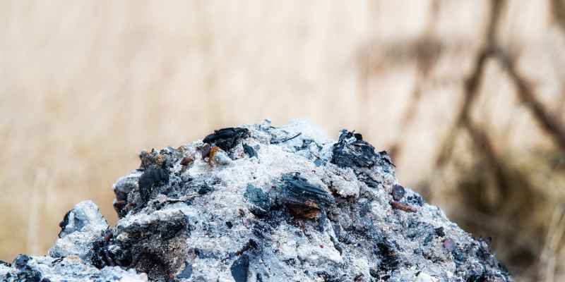How Can I Dispose of Wood Ash