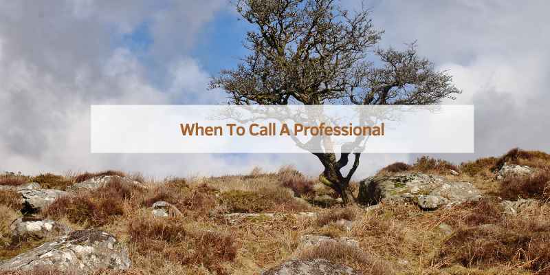When To Call A Professional