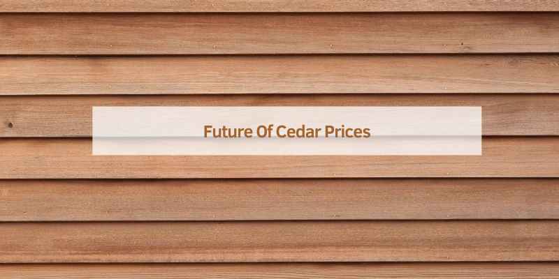 How Much Does Cedar Cost