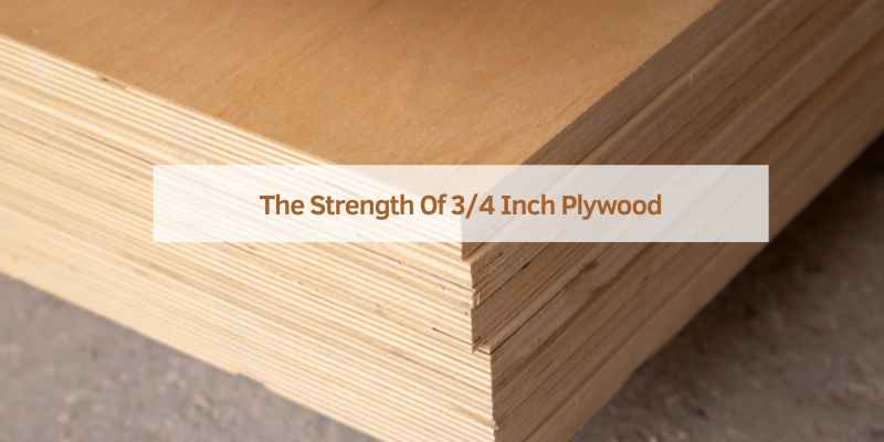 The Strength Of 3/4 Inch Plywood