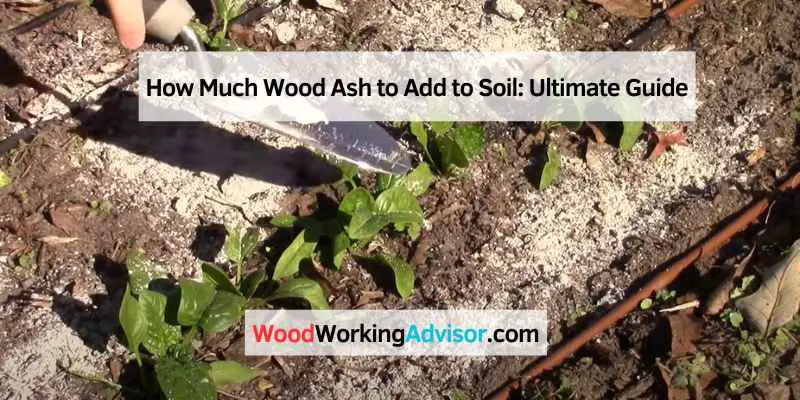 How Much Wood Ash to Add to Soil