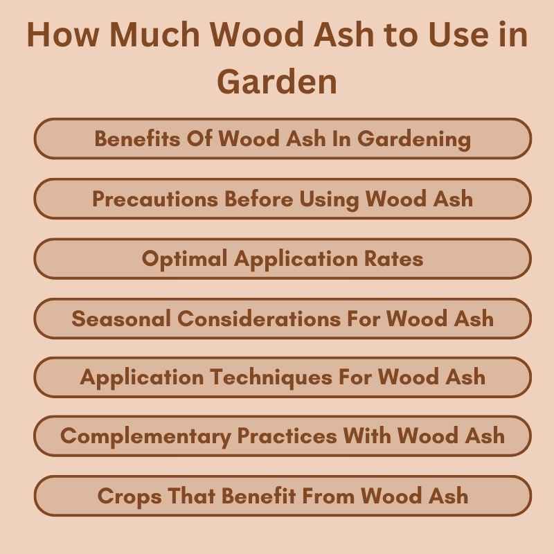 How Much Wood Ash to Use in Garden (3)