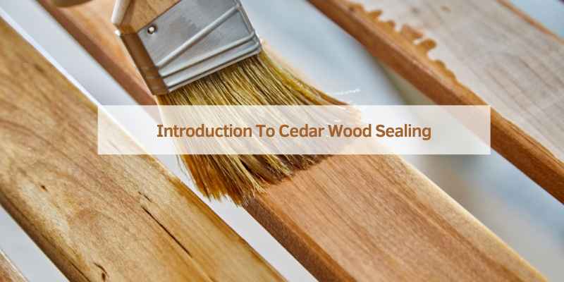 Introduction To Cedar Wood Sealing