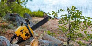 How To Measure Chainsaw Bar