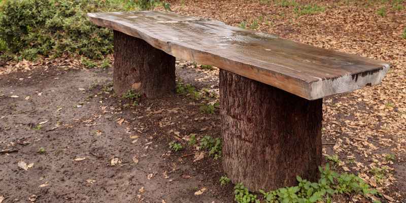 How to Build a Wood Slab Bench